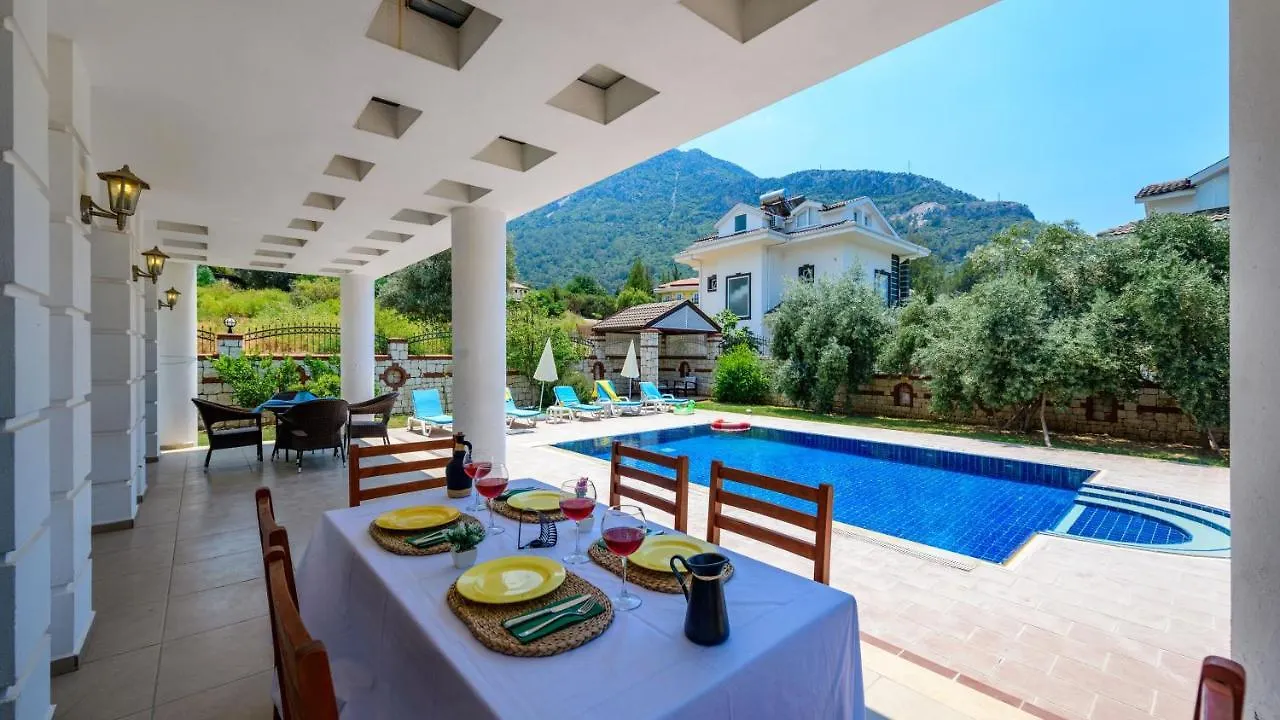 Musa - 5 Bedroom Holiday Villa In Hisaronu Fethiye
